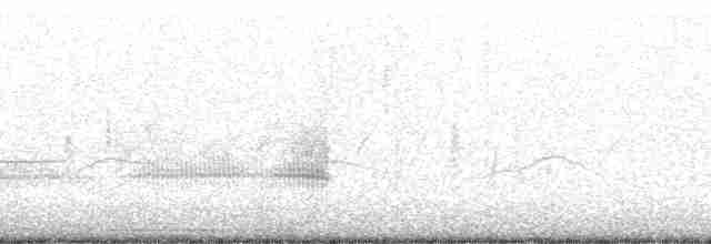 Eastern Meadowlark (Eastern) - ML12679