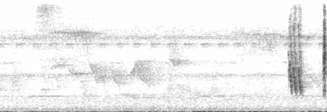 Uzun Gagalı Bitkuşu [melanurus grubu] - ML126807