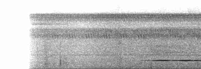 Gray-legged Tinamou - ML126811691
