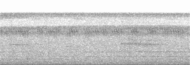 Gray-legged Tinamou - ML126811701