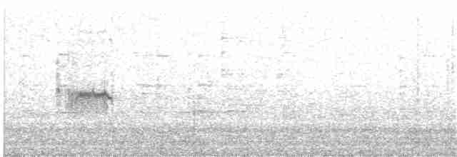חופית אלפינית - ML126815571