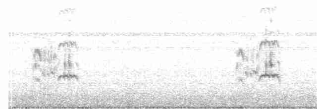 Royal Tern - ML126821491
