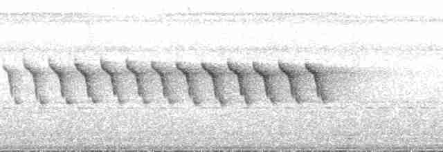 Зубчатоклювый крапивник - ML126826
