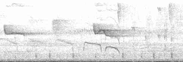 Dusky-capped Woodcreeper (Layard's) - ML126844