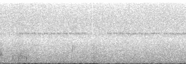 holub neotropický - ML126901