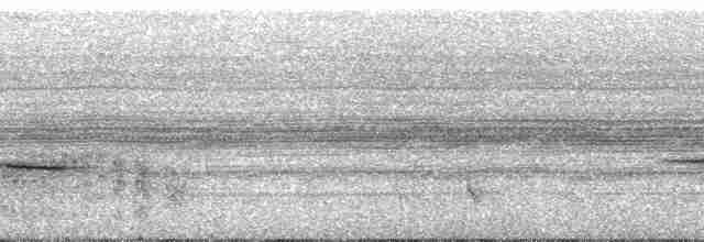 Віреончик рудолобий (підвид ferrugineifrons/viridior) - ML126908