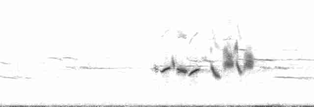 Eastern Meadowlark (Eastern) - ML12696