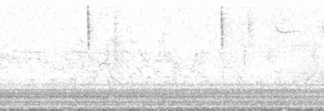 Eastern Meadowlark (Eastern) - ML12697