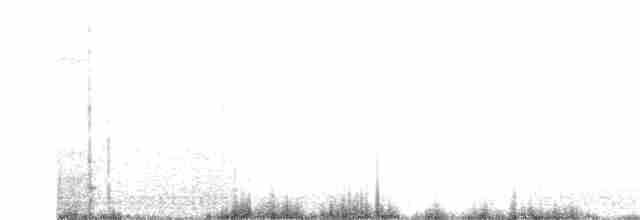 Тиранчик-короткодзьоб південний - ML126980731