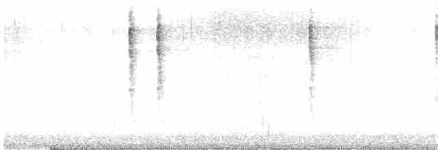 Troglodyte de Baird - ML127008371