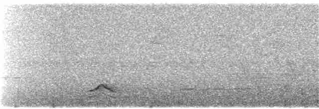 Капюшоновый трёхпалый тинаму - ML127058631