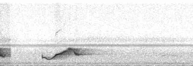 Pauraquenachtschwalbe - ML127080
