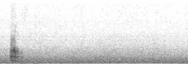 Южнополярный поморник - ML127106