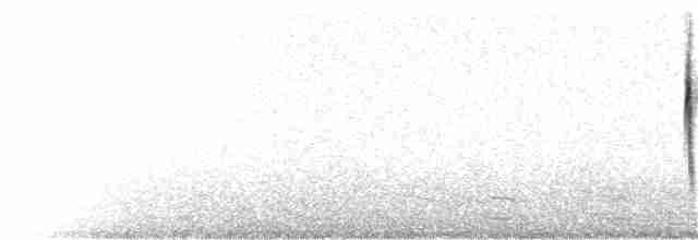 Paruline à couronne rousse (hypochrysea) - ML127106641