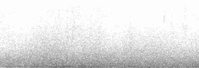 Южный гигантский буревестник - ML127130