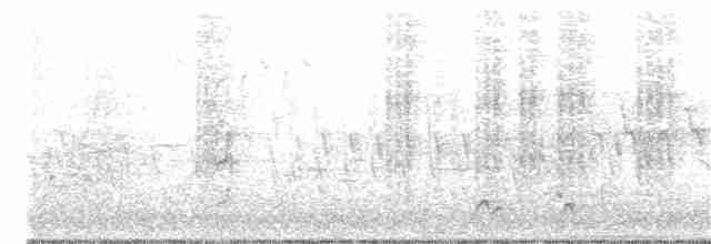Ak Kaşlı Ormankırlangıcı - ML127166991