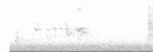 Ak Kaşlı Ormankırlangıcı - ML127167001