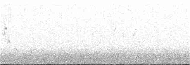 Pipit antarctique - ML127183591