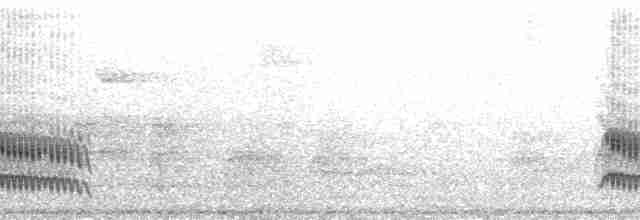 Trogon rosalba (puella) - ML127240