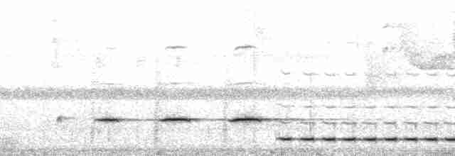 Troglodyte rufalbin - ML127251
