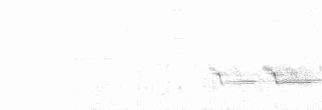 Kaya Çıtkuşu - ML127353731