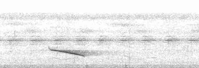 Slaty-capped Shrike-Vireo (Slaty-capped) - ML127408