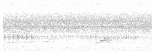 Ak Karınlı Saksağan - ML127432481