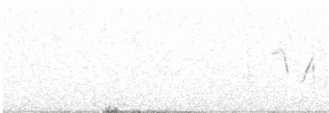 Короткопалый хохлатый жаворонок - ML127439901
