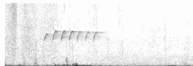 Кустарниковая эуфония - ML127450461