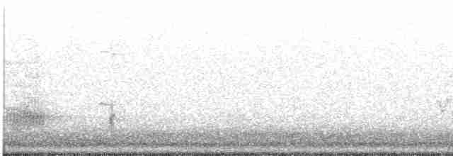 Краснохвостый канюк (fuertesi) - ML127477641