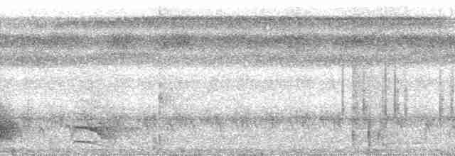 brunvingemaurvarsler - ML127484