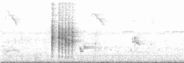 Clamorous Reed Warbler - ML127599671