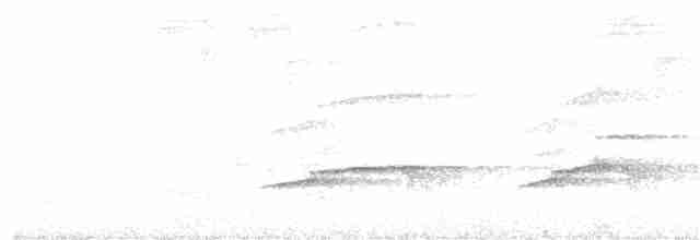 Сероголовая агуйла - ML127630801