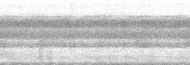 Kısa Kuyruklu Küçük Tiran - ML127722