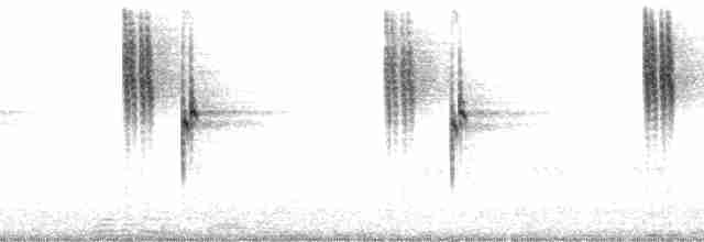 Berg-Veilchenohrkolibri (cyanotus/crissalis) - ML127795