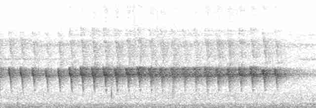 Uzun Gagalı Bitkuşu [melanurus grubu] - ML127834