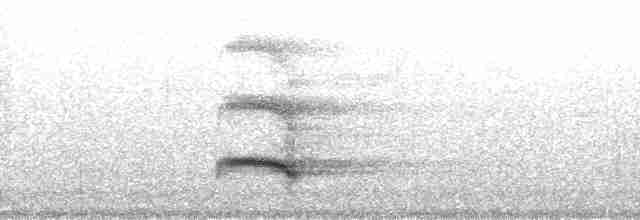 Toucan vitellin (ariel) - ML127836