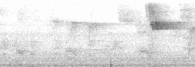 Kestane Karınlı Lacivert Öfonya - ML127842