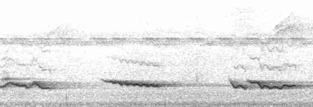 White-necked Thrush (Rufous-flanked) - ML127891