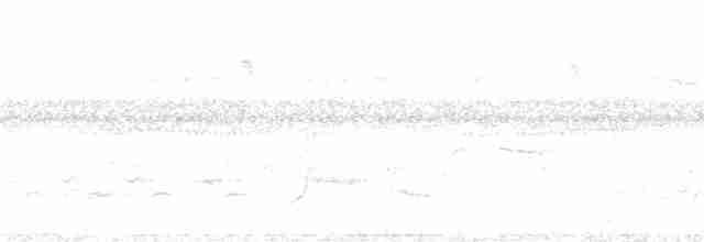Flavescent Warbler - ML127899
