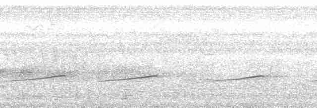 Желтогорлая пищуховая иглохвостка - ML127905