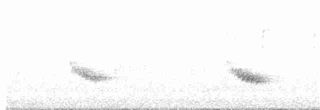 Каролинский крапивник - ML127907101