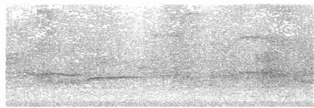 Russet-tailed Thrush - ML127949831