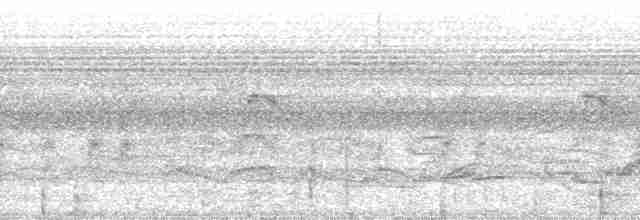 Чапля мангрова (підвид striata) - ML127962