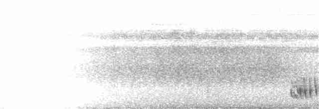 Черноголовый крапивник - ML127965121