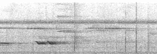 White-necked Thrush (Rufous-flanked) - ML127995