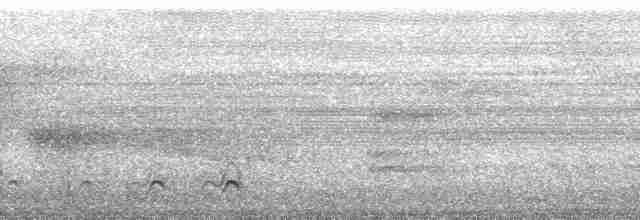 Gray-headed Kite - ML127997