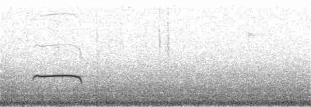 Пестрогорлая гевара - ML128046191