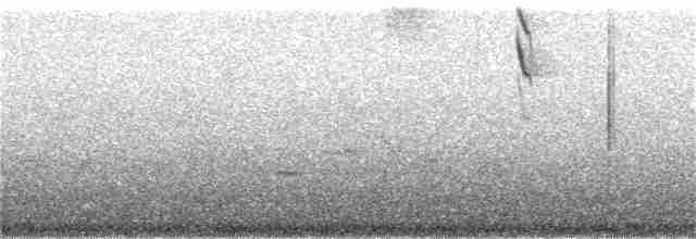 Блакитар вохристочеревий - ML128081271