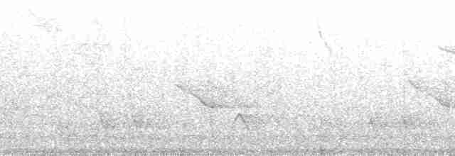stripesvartspett (lineatus gr.) - ML128086